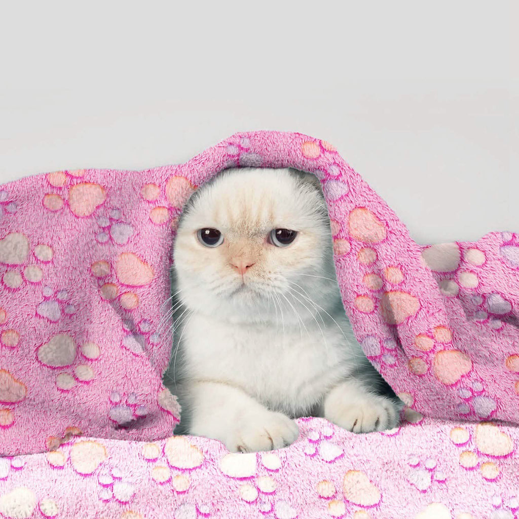 Fluffy Dog Cat Blanket