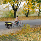 Foldable Bicycle Cargo Wagon Trailer