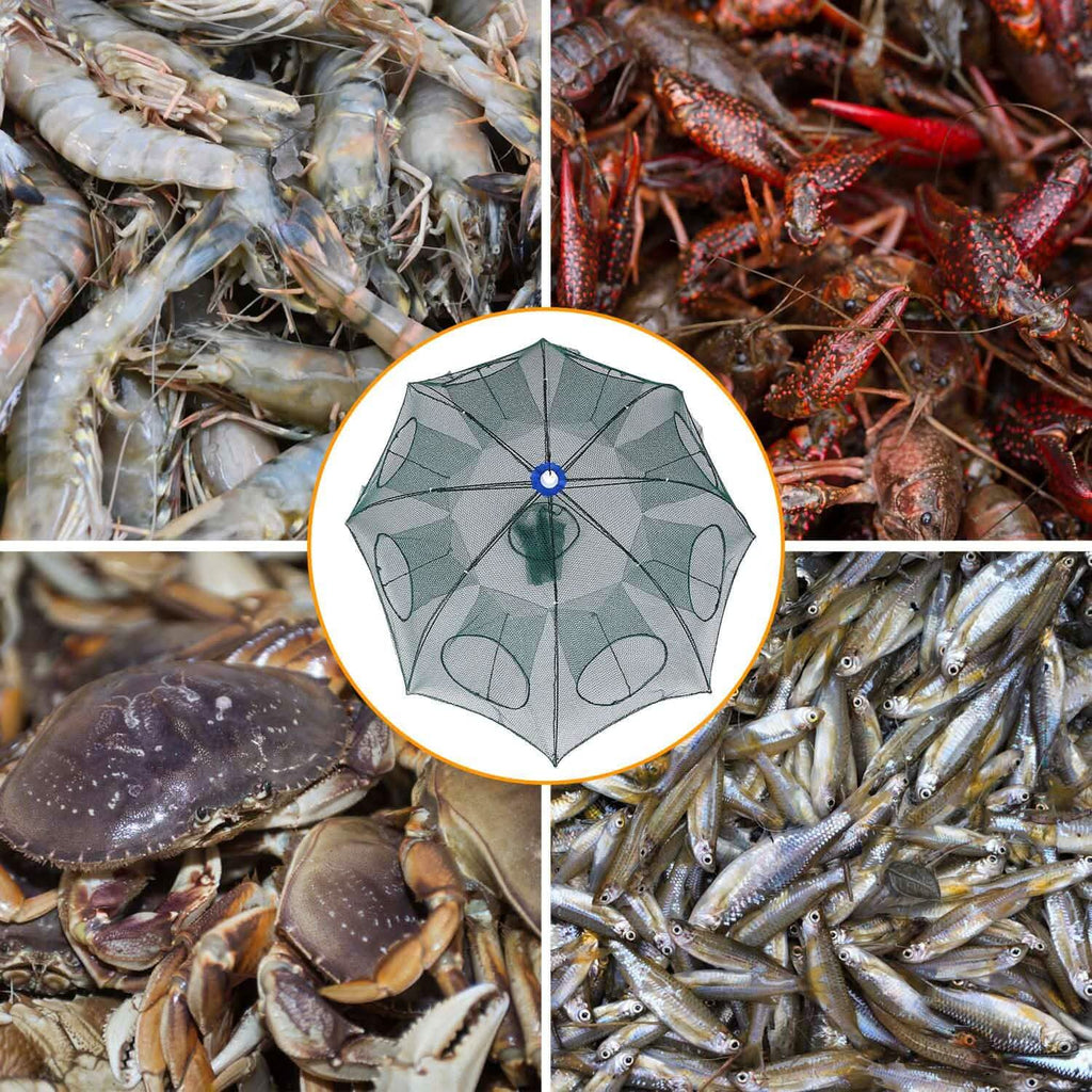 Foldable Fishing Bait Net Trap