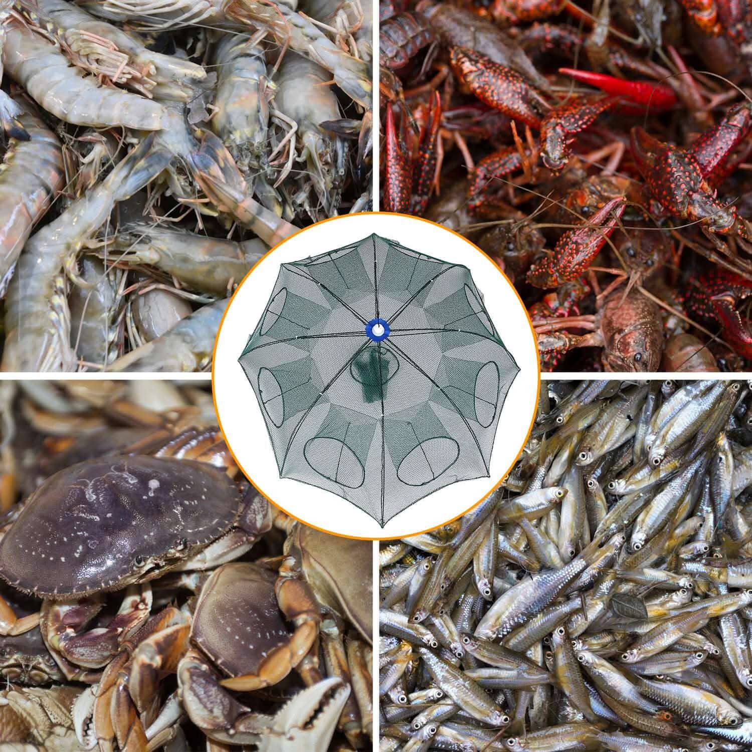 Foldable Fishing Bait Net Trap