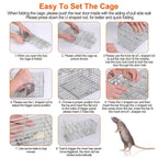 Foldable Rat Trap Cage Humane Live Rodent Trap Cage