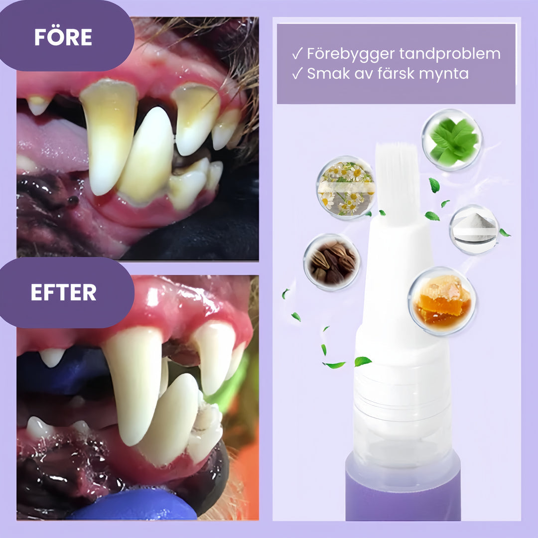 FreshBite Pet Dental Pen