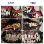FreshBite Pet Dental Pen