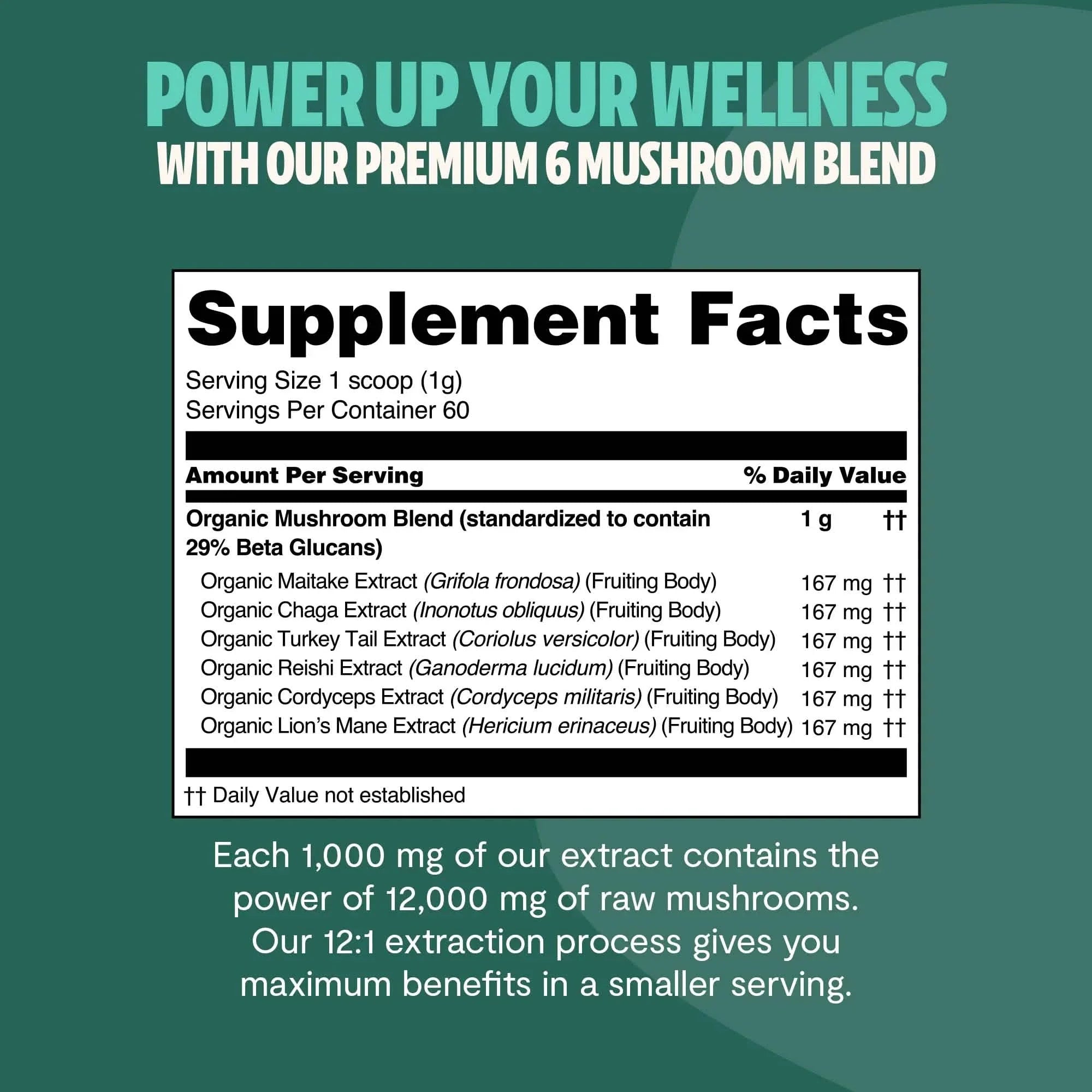 Organic Mushroom Extract Powder Blend