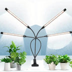 Grow Lights for Seed Starting Auto ON & Off Full Spectrum LED Plant Lights with Timer