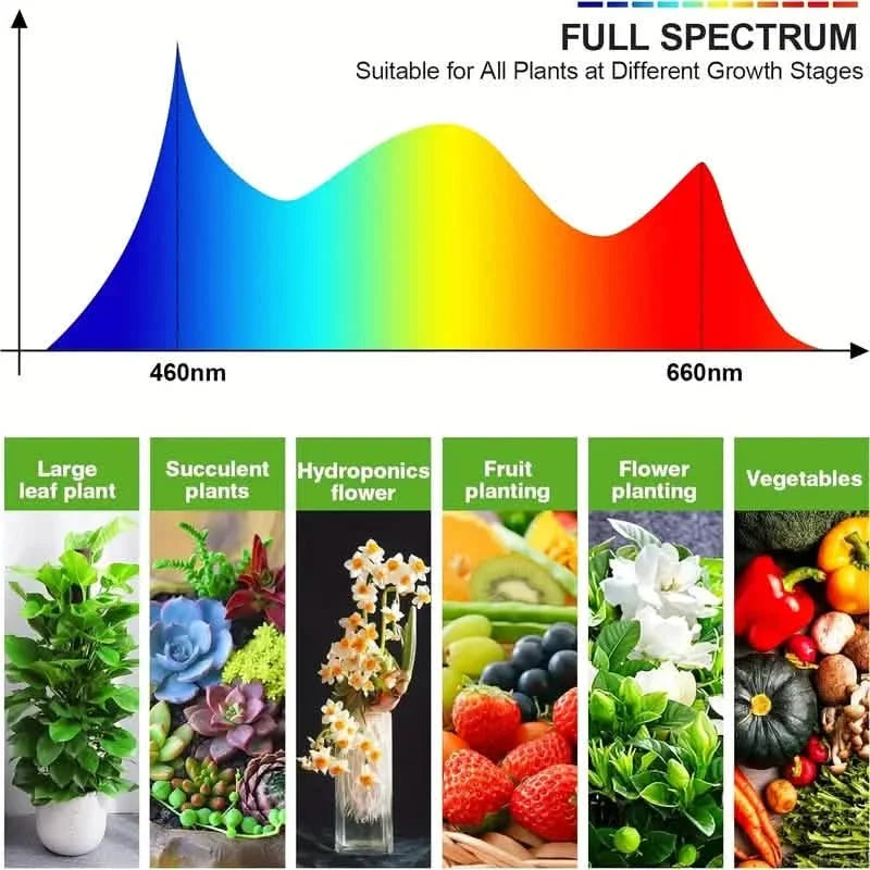 Grow Lights for Seed Starting Auto ON & Off Full Spectrum LED Plant Lights with Timer