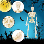 Halloween Decoration Skeleton Decorations Party Supplies