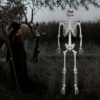 Halloween Decoration Skeleton Figure Life-Size Display