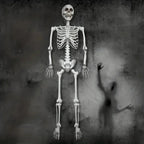 Halloween Decoration Skeleton Figure Life-Size Display