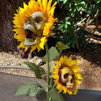 Halloween Sunflower Skull Head Garden Decoration