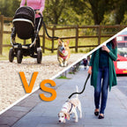Hands Free Dogs Leash Waist Belt