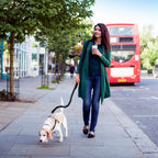 Hands Free Dogs Leash Waist Belt