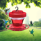 Hanging Bee-Proof Hummingbird Water Feeder