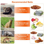 Humane Catch Release Live Animal Collapsible Galvanized Wire Trap Cage