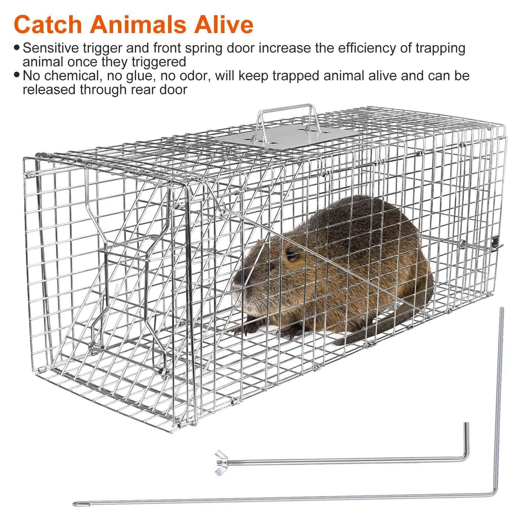 Humane Catch Release Live Animal Collapsible Galvanized Wire Trap Cage