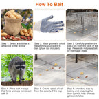 Humane Catch Release Live Animal Collapsible Galvanized Wire Trap Cage