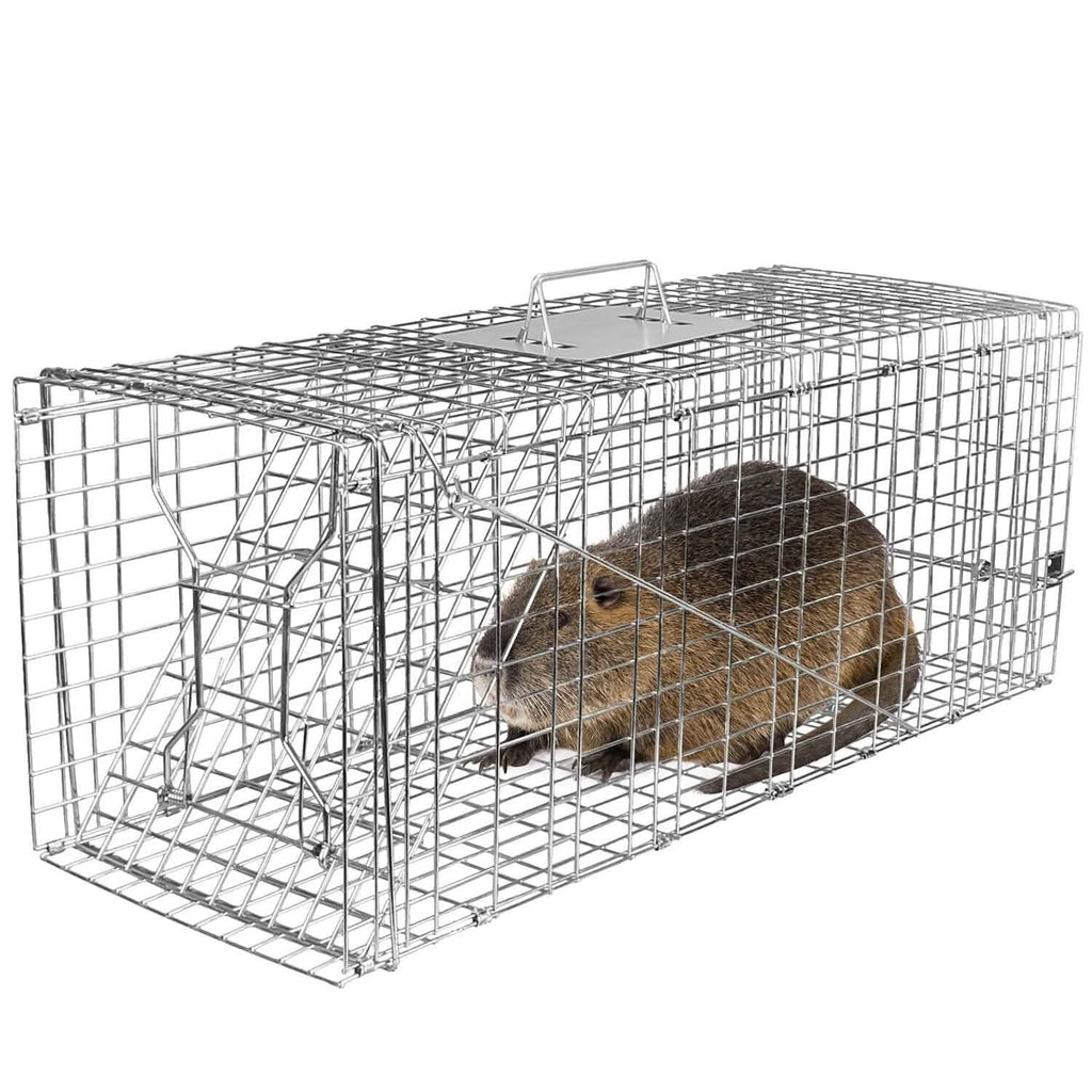 Humane Catch Release Live Animal Collapsible Galvanized Wire Trap Cage