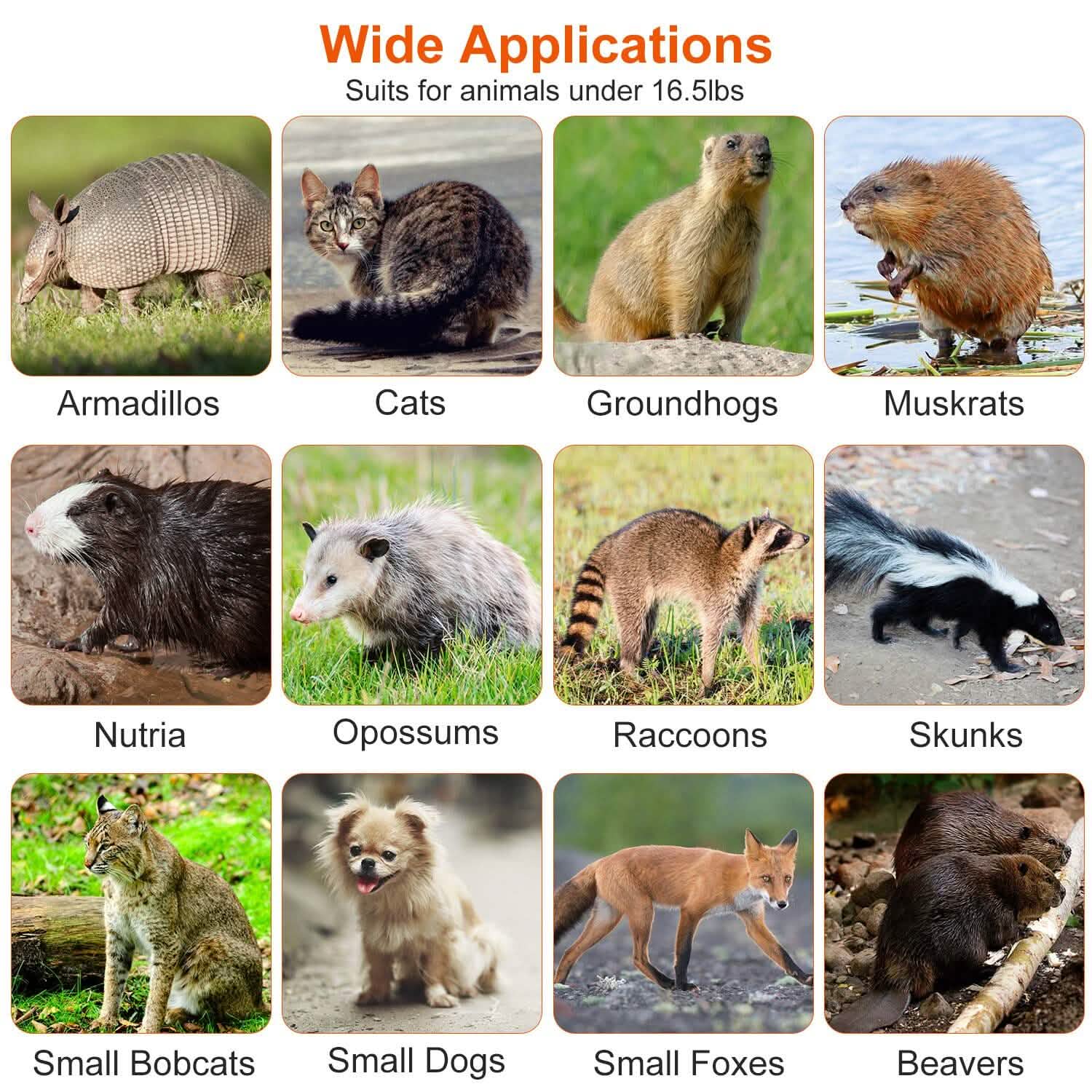 Humane Catch Release Live Animal Collapsible Galvanized Wire Trap Cage