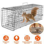 Humane Live Animal Rodent Cage Collapsible Galvanized Wire