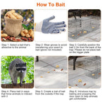 Humane Live Animal Rodent Cage Collapsible Galvanized Wire