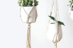 Plant Hanger, Macrame Plant Holder