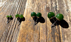 Canadian Jade Round Stud Earrings