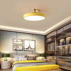 LED Ceiling Light