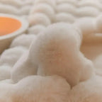 Multi-Season Blanket