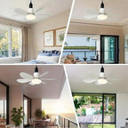 Ceiling-mounted fan