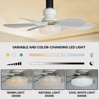 Ceiling-mounted fan