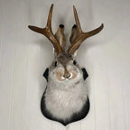 Jackalope Wall Decor