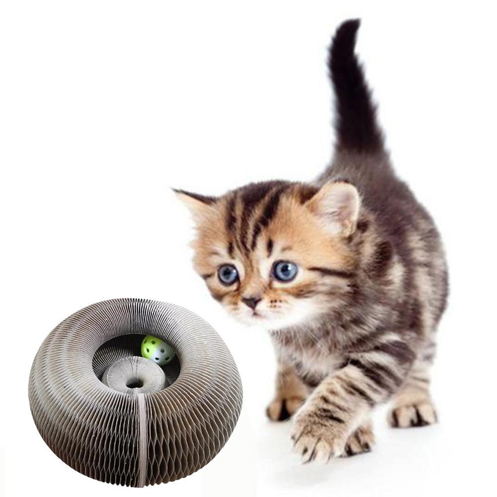 Magic Organ Cat Scratching Board