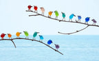 Sea Glass Birds Decor Coastal Love Notes