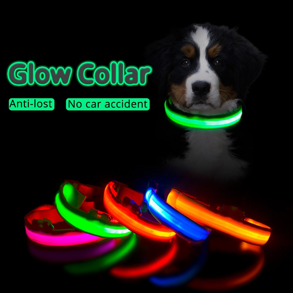 Dog Led Collar
