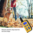 Remote Dog Training Collar