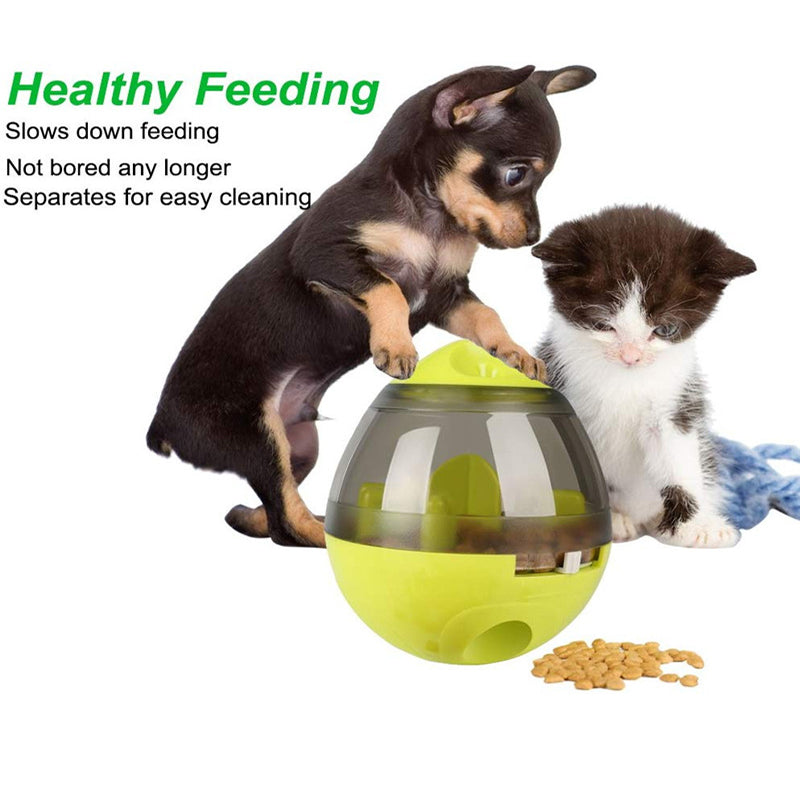 Interactive Pet Toy