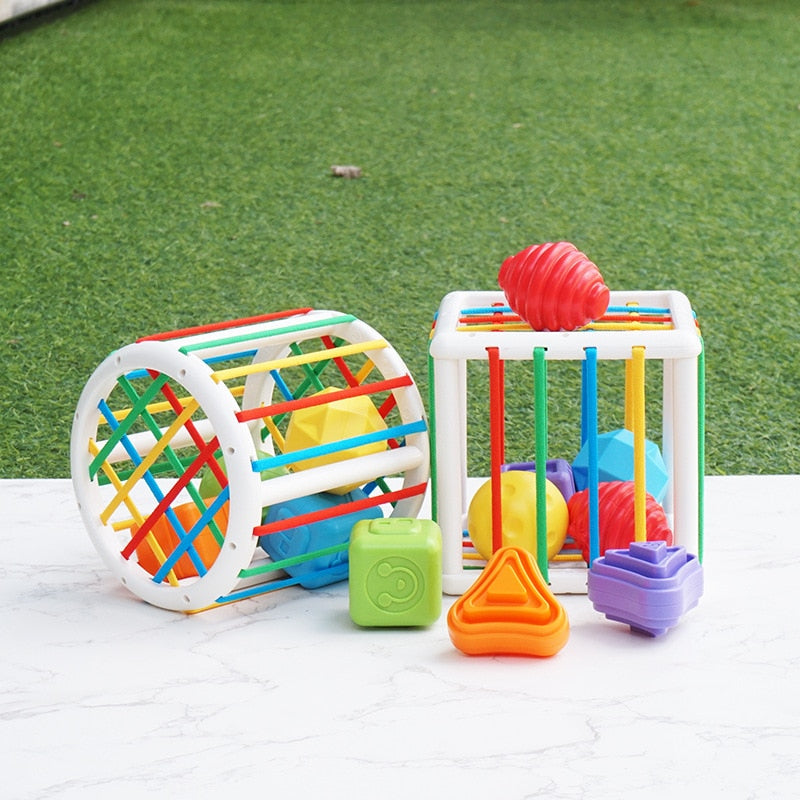 Rainbow Shape & Color Sorter Game