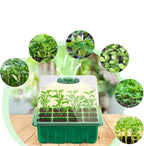 Household New Nursery Pot With Lamp - Plant Seed Starter Tray with Grow Light