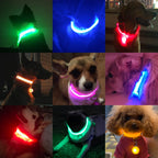 Dog Led Collar