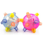 Dog Jumping Ball