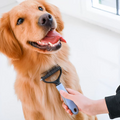 Pet Grooming Tool