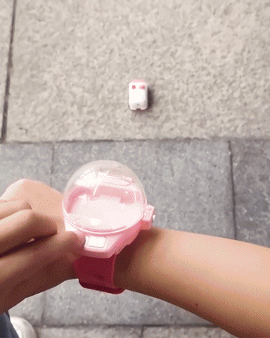 Remote Control Car Watch
