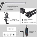 LED Desk Lamp with Clamp