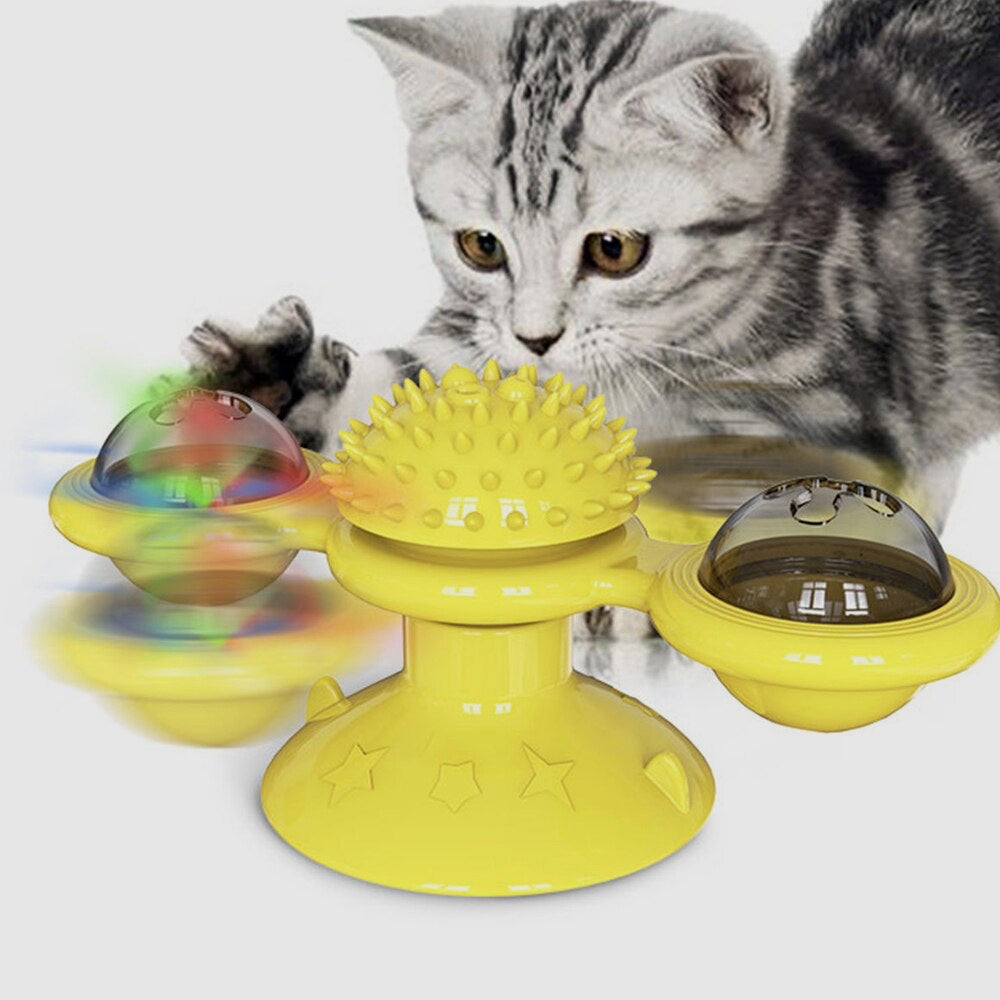 Spin & Play Cat Fun