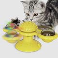 Spin & Play Cat Fun