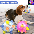 Dog Jumping Ball