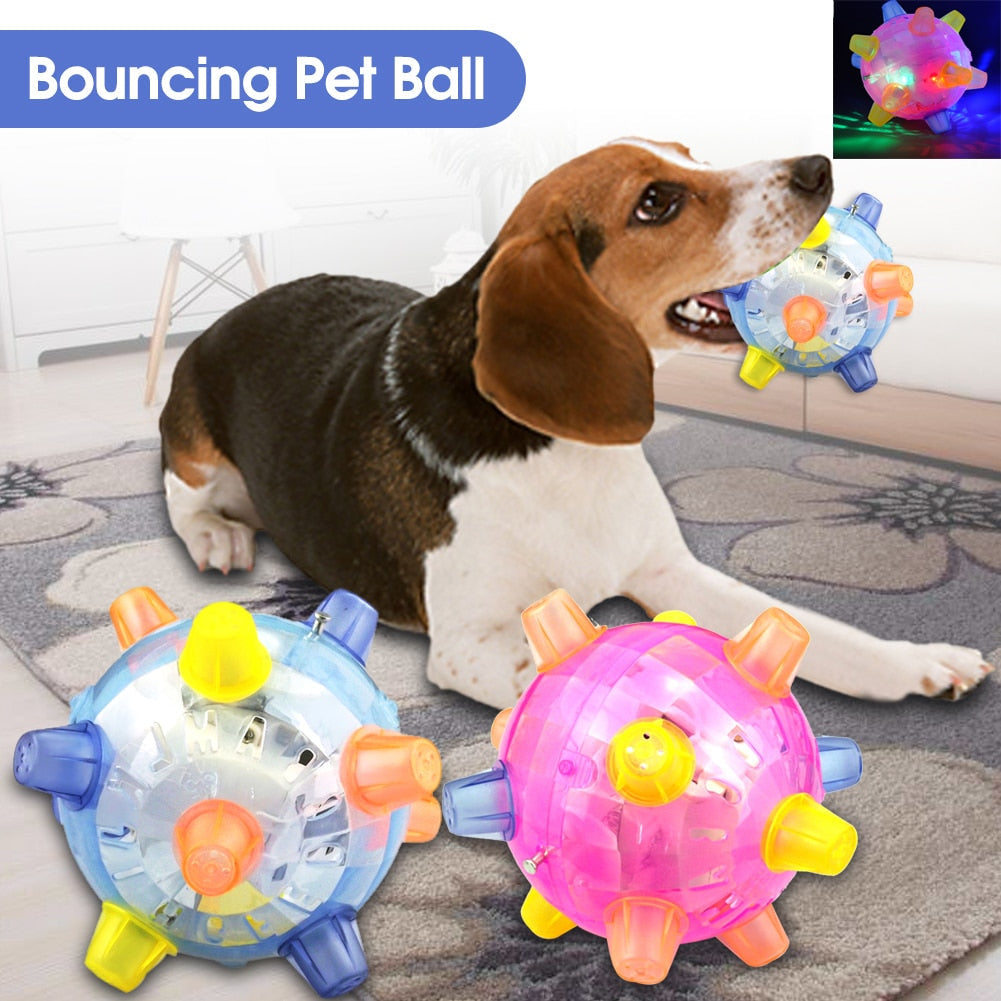 Dog Jumping Ball