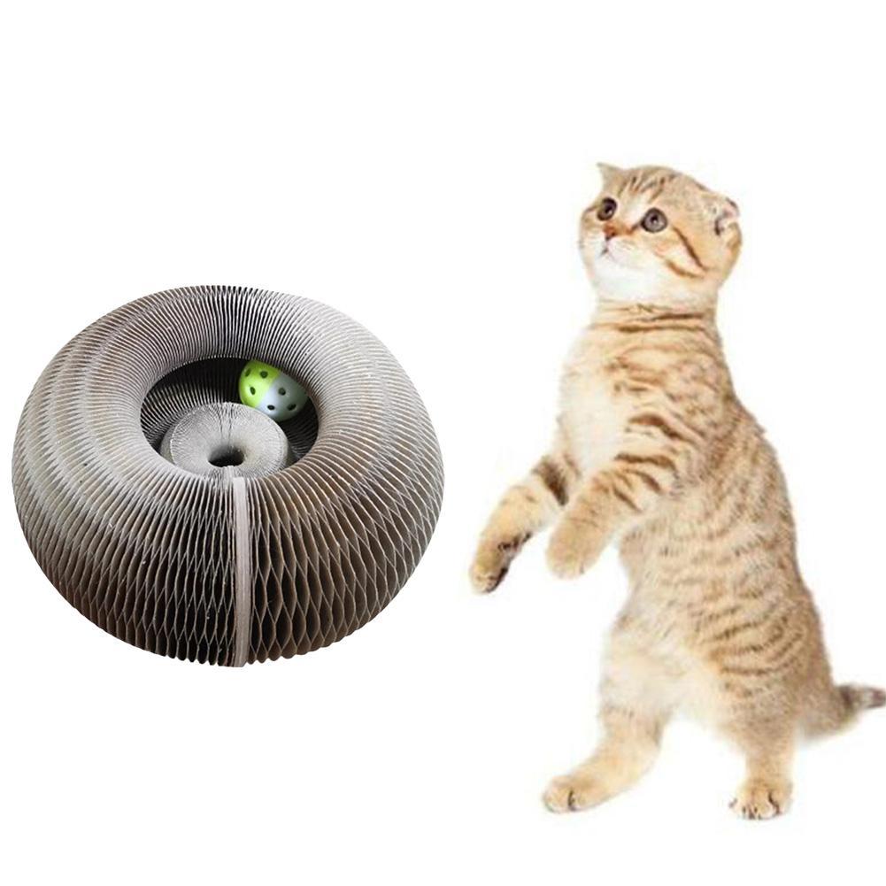 Magic Organ Cat Scratching Board