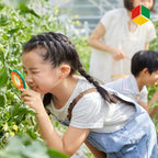 Kids Insect Exploration Kit