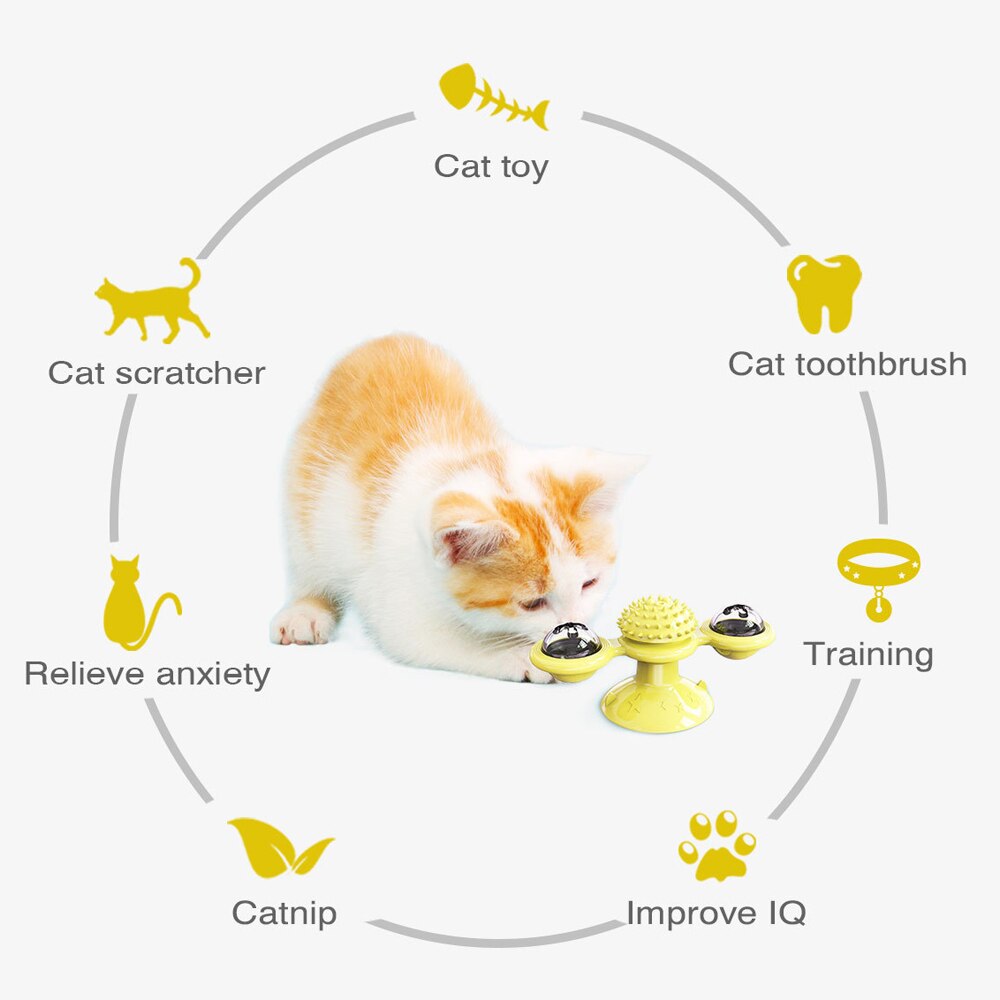 Spin & Play Cat Fun